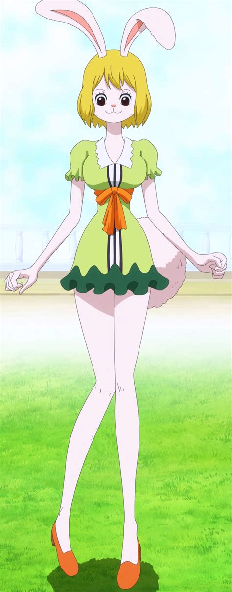 carrot one piece hentai|Character: Carrot (One Piece) 